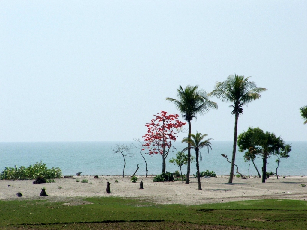 kuakata beach